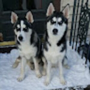 Meet your Posher, Jorge